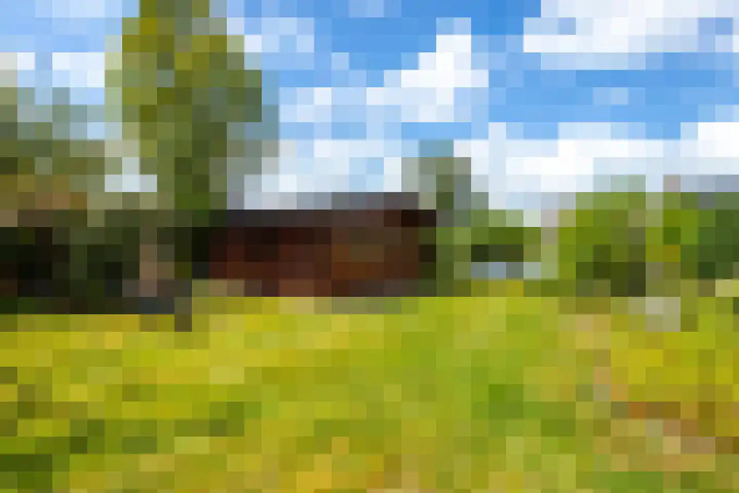 Abbekesdoel 77 Bleskensgraaf ca thumbnail 17