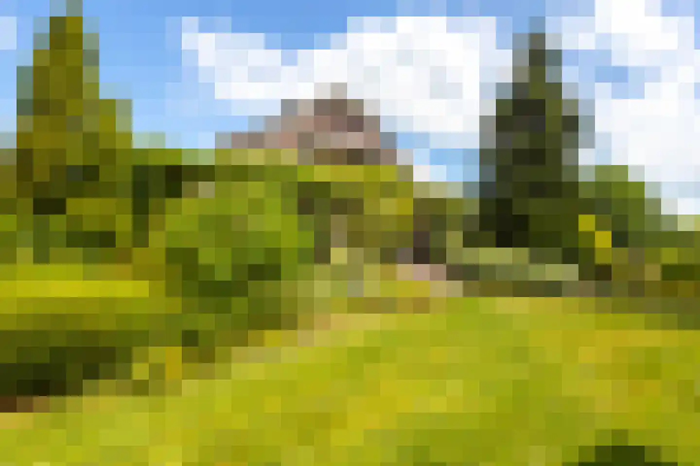 Abbekesdoel 77 Bleskensgraaf ca thumbnail 18