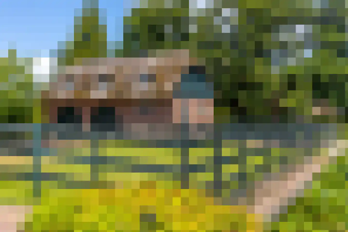 Abbekesdoel 77 Bleskensgraaf ca thumbnail 24