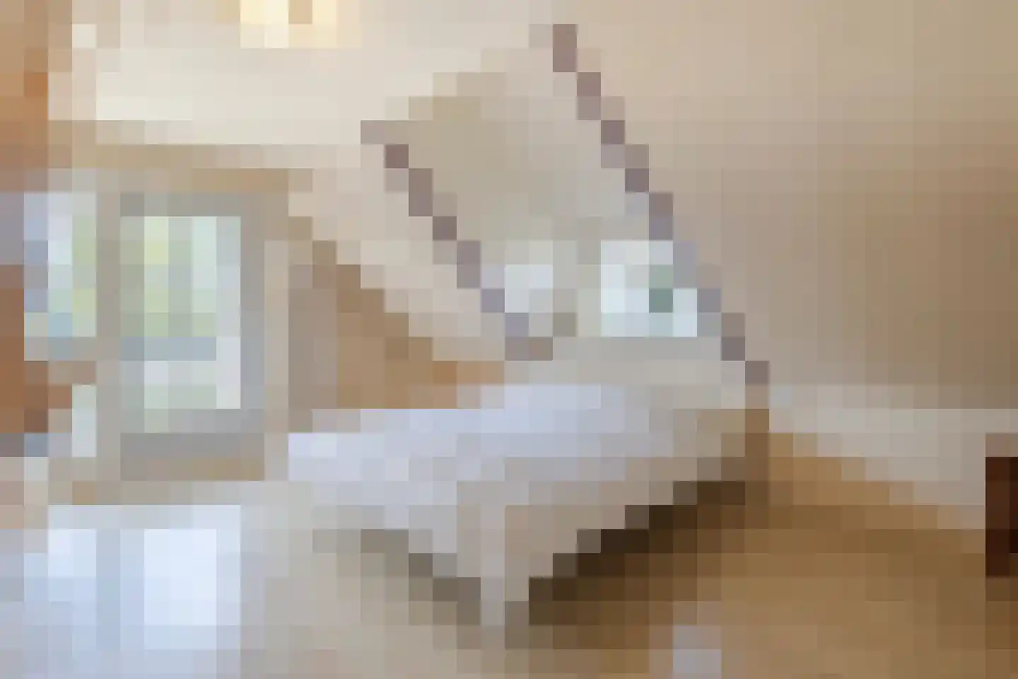 Abbekesdoel 77 Bleskensgraaf ca thumbnail 43