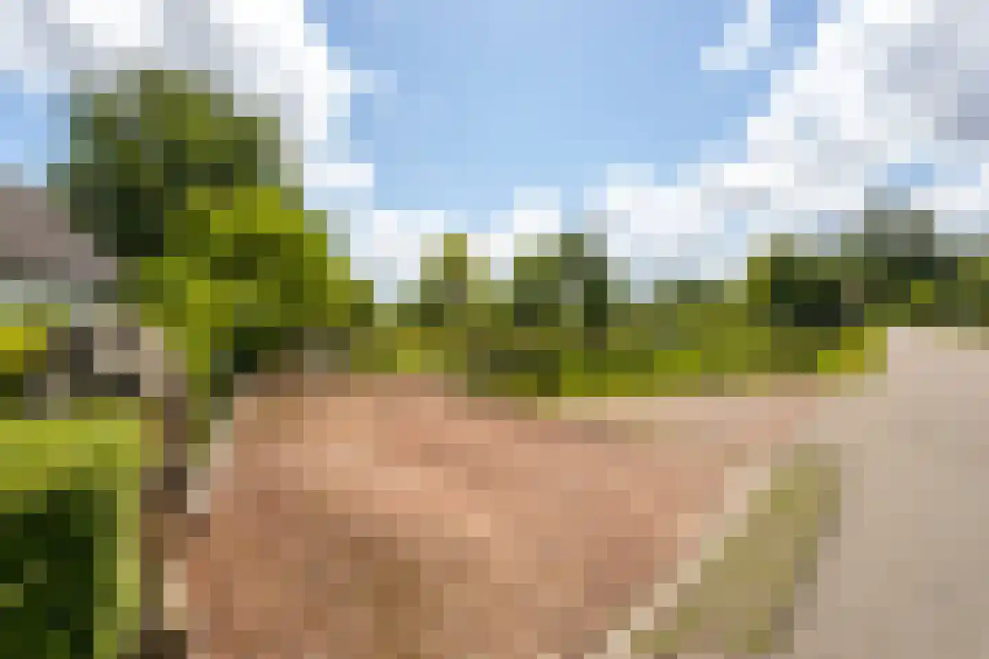 Abbekesdoel 77 Bleskensgraaf ca thumbnail 9
