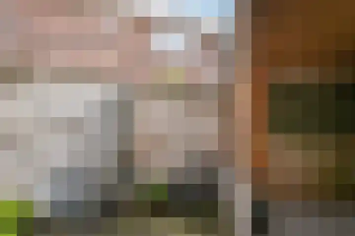 Abbenbroeksestraat 1 Schiedam thumbnail 9