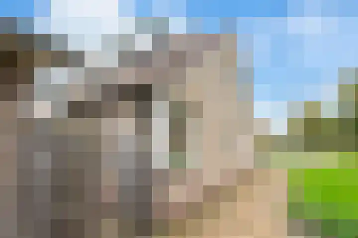 Abbenbroekstraat 1 Zaandam thumbnail 39
