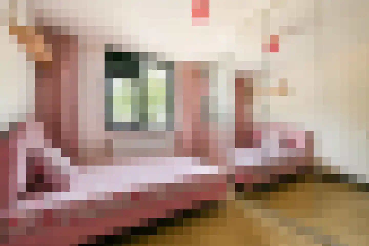 Abbenbroekstraat 12 Zaandam thumbnail 24
