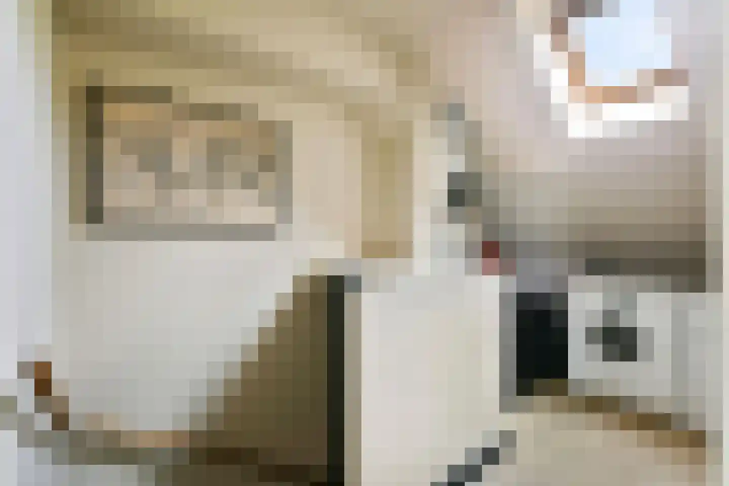 Abbenbroekstraat 12 Zaandam thumbnail 27