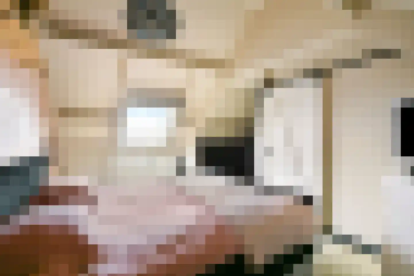 Abbenbroekstraat 12 Zaandam thumbnail 29