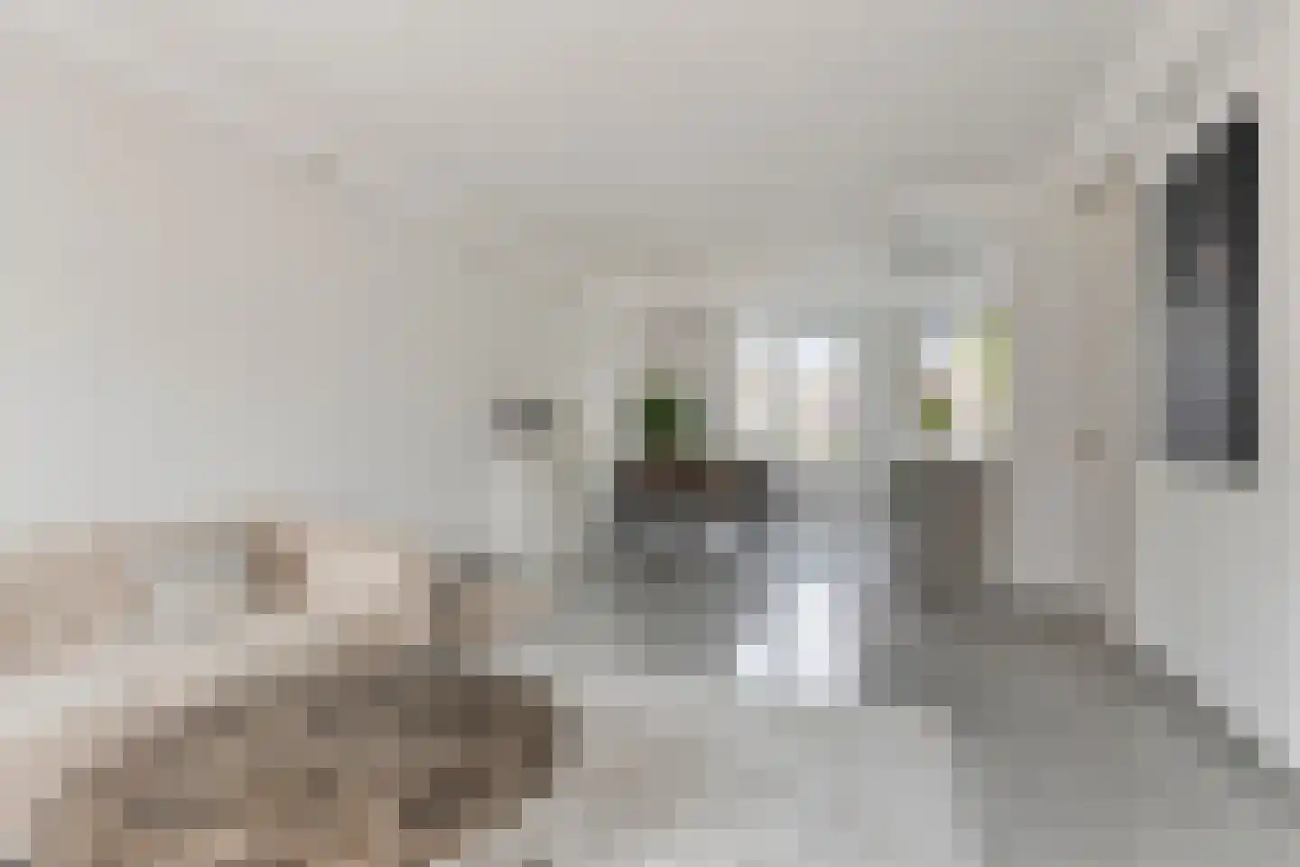 Abbenbroekstraat 32 Zaandam thumbnail 9