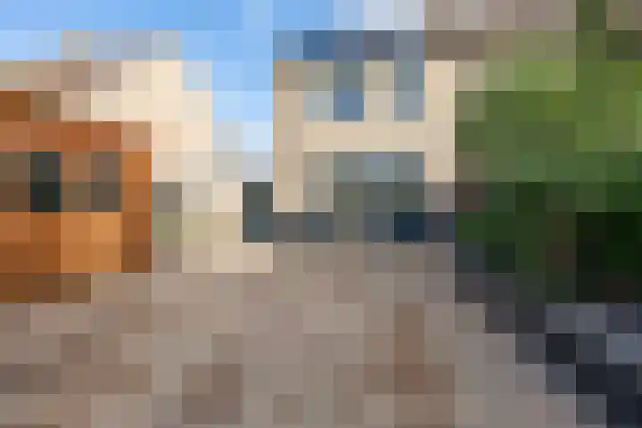 Abbenbroekstraat 35 Zaandam thumbnail 13