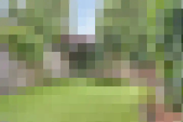Abbenbroekstraat 39 Zaandam thumbnail 37
