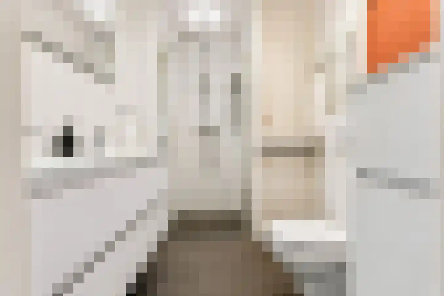 Abbenesstraat 16 3 Amsterdam thumbnail 20