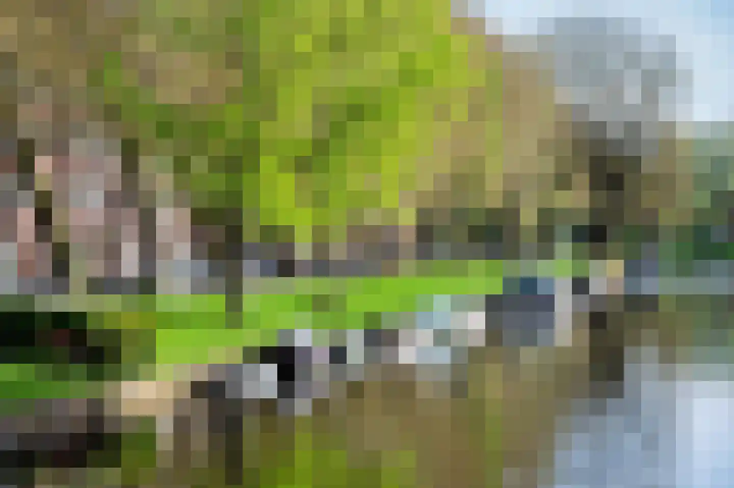 Abbenesstraat 5 Amsterdam thumbnail 32