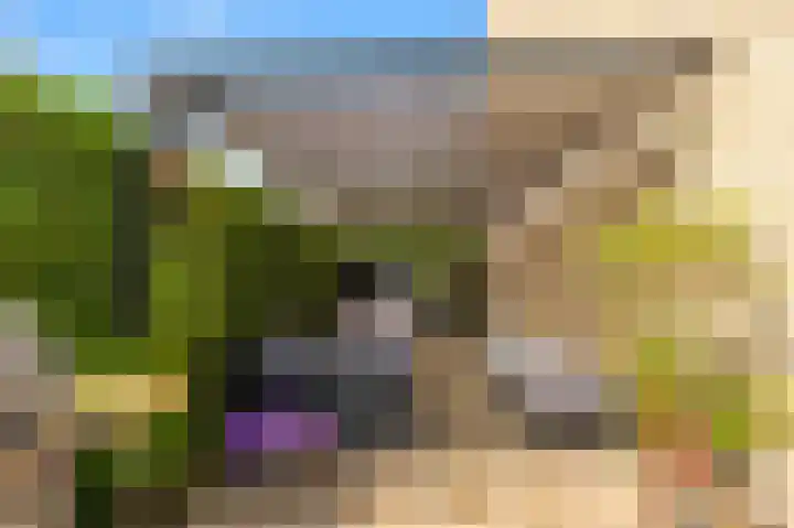 Abbenven 60 Heemskerk thumbnail 17