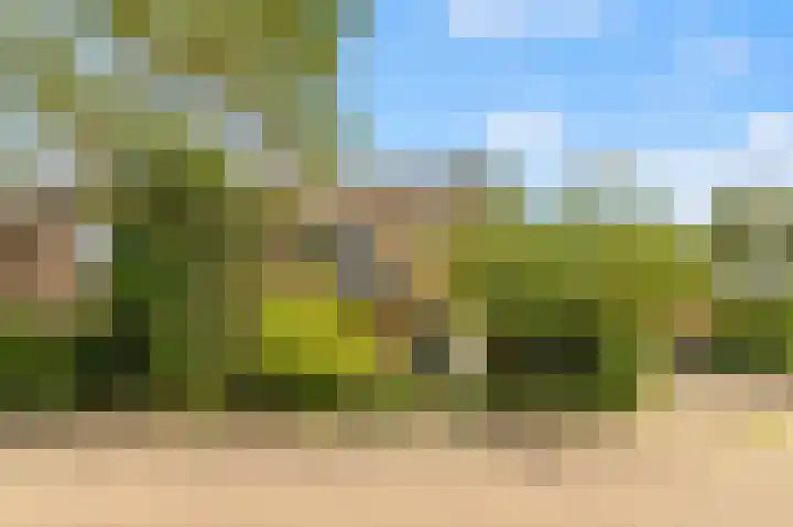 Abbenven 60 Heemskerk thumbnail 37