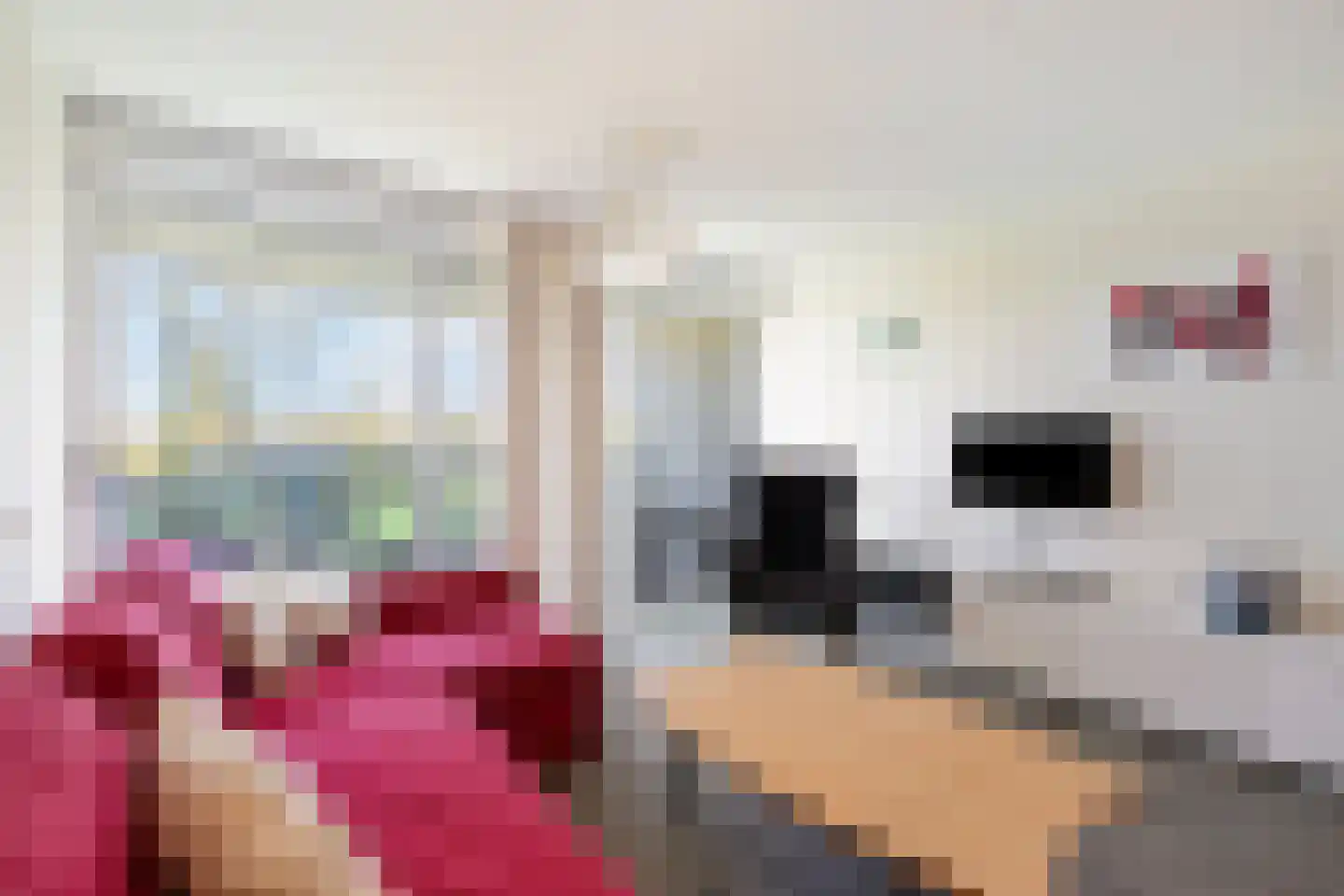 Abbestederweg 26 317 Callantsoog thumbnail 7