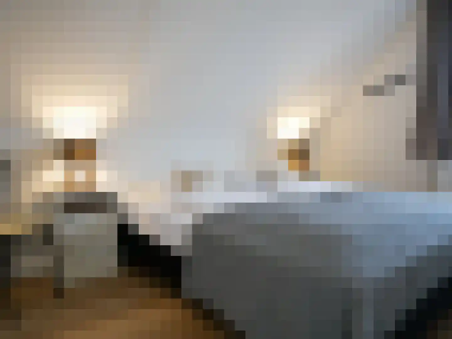 Abbestederweg 26 B h108 Callantsoog thumbnail 26