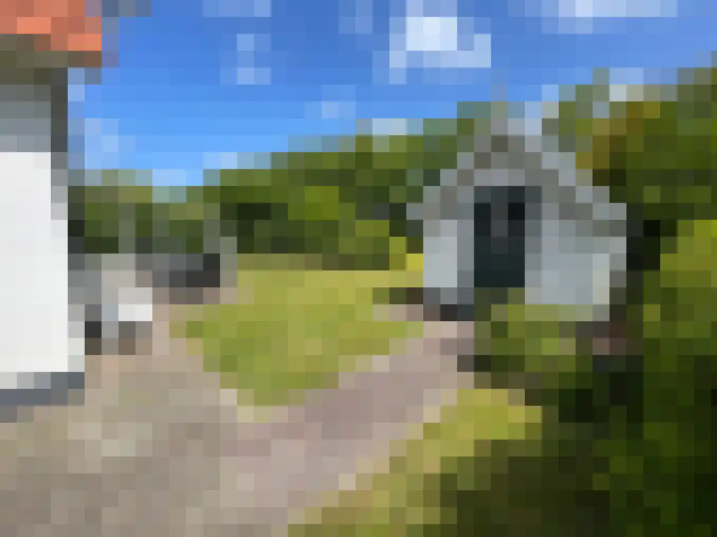 Abbestederweg 26 B h108 Callantsoog thumbnail 34