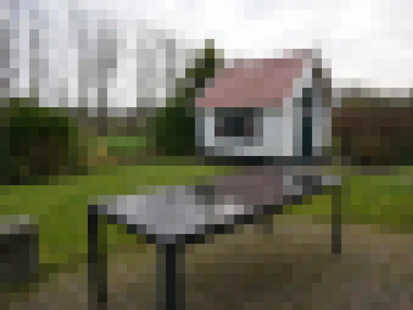 Abbestederweg 26 B h108 Callantsoog thumbnail 35