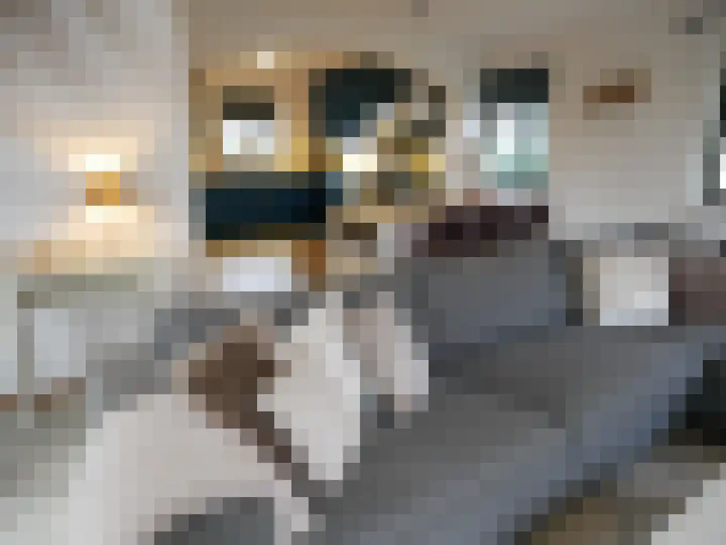 Abbestederweg 26 B h108 Callantsoog thumbnail 8