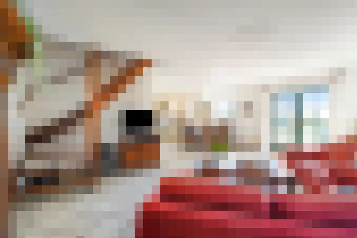 Abbestederweg 26 B h11 Callantsoog thumbnail 12