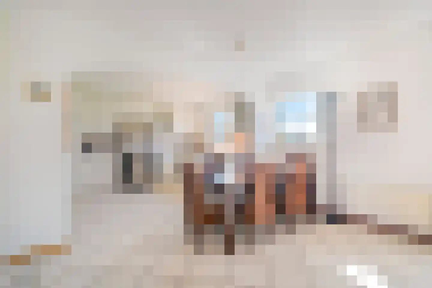 Abbestederweg 26 B h11 Callantsoog thumbnail 22