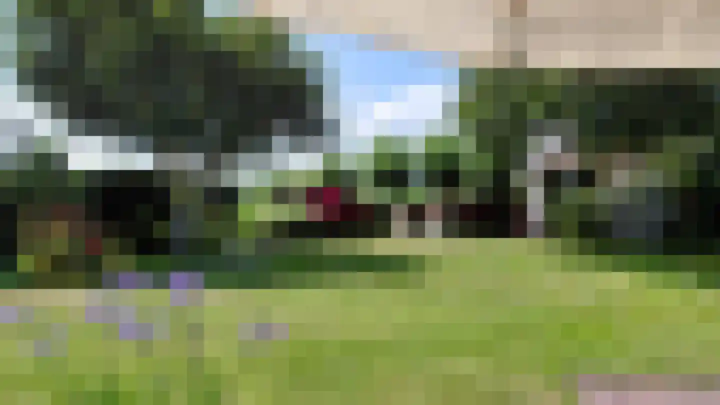 Abbestederweg 26 B h11 Callantsoog thumbnail 37