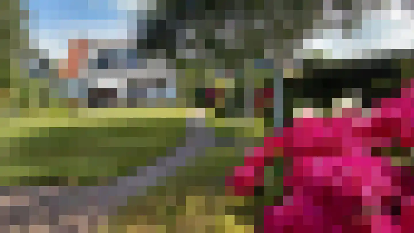 Abbestederweg 26 B h11 Callantsoog thumbnail 39