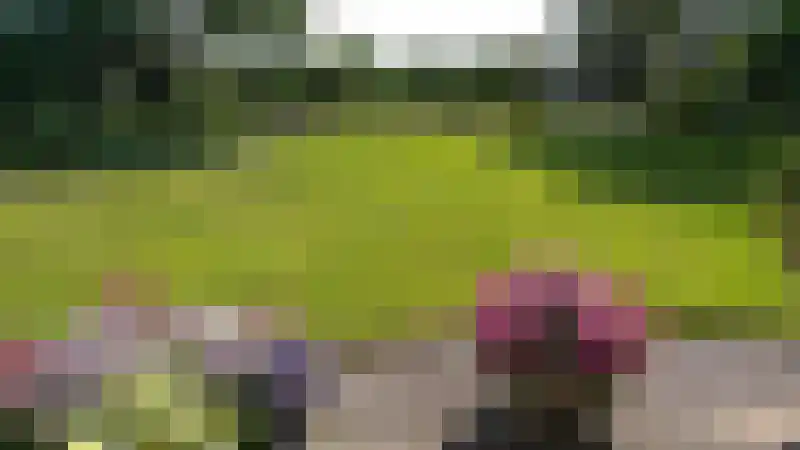 Abbestederweg 26 B h11 Callantsoog thumbnail 47