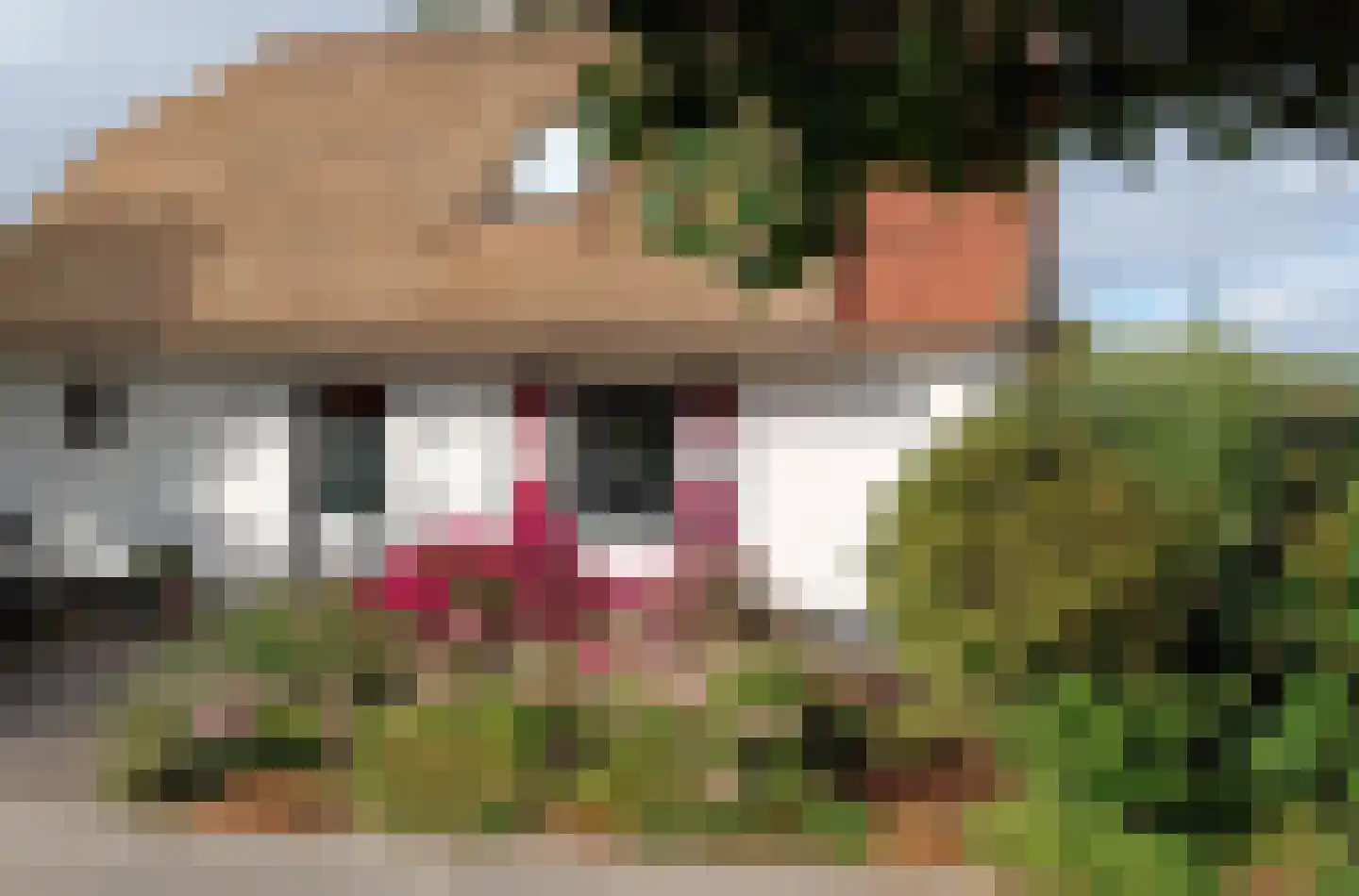 Abbestederweg 26 B h11 Callantsoog thumbnail 50