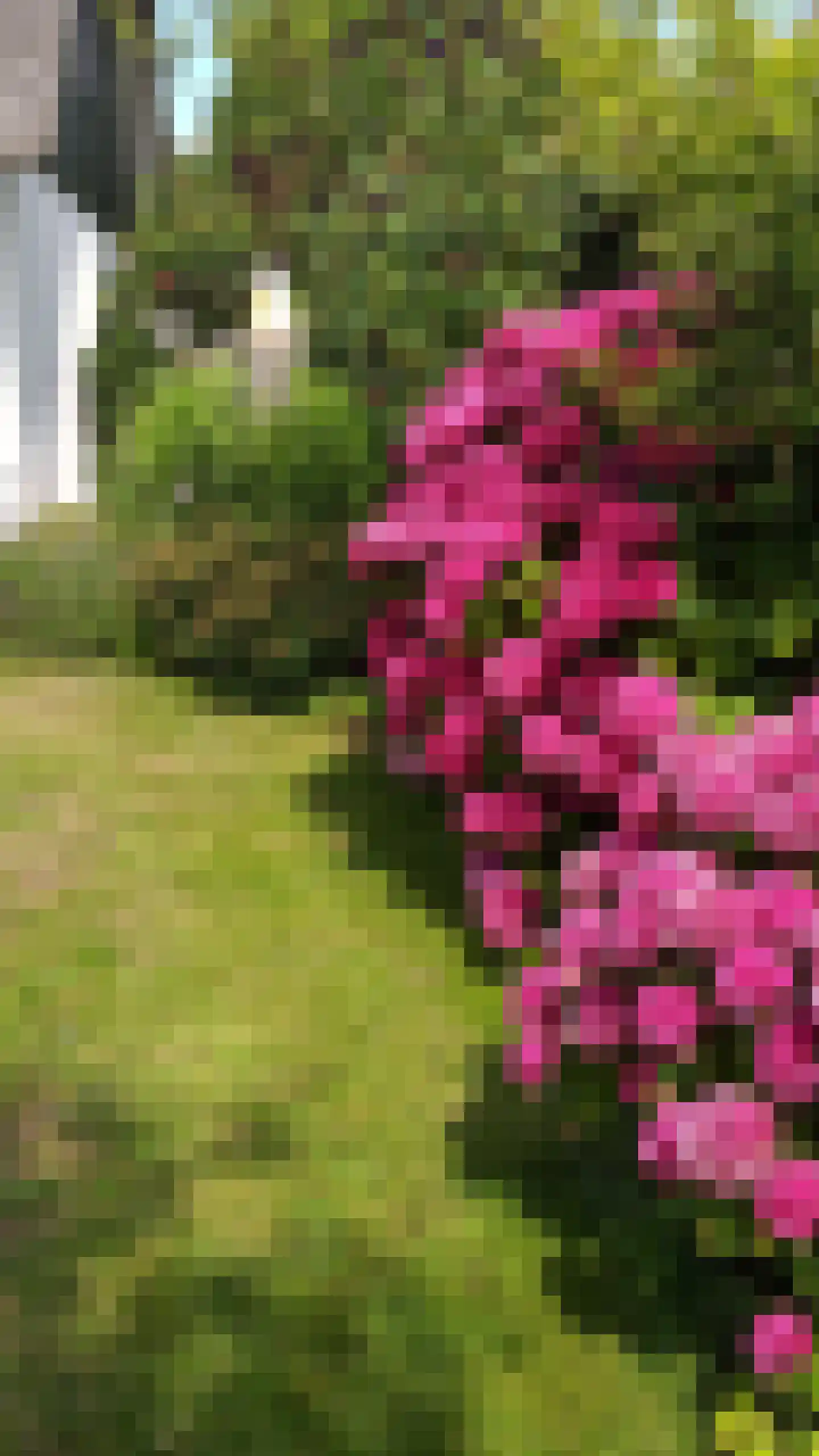 Abbestederweg 26 B h11 Callantsoog thumbnail 50