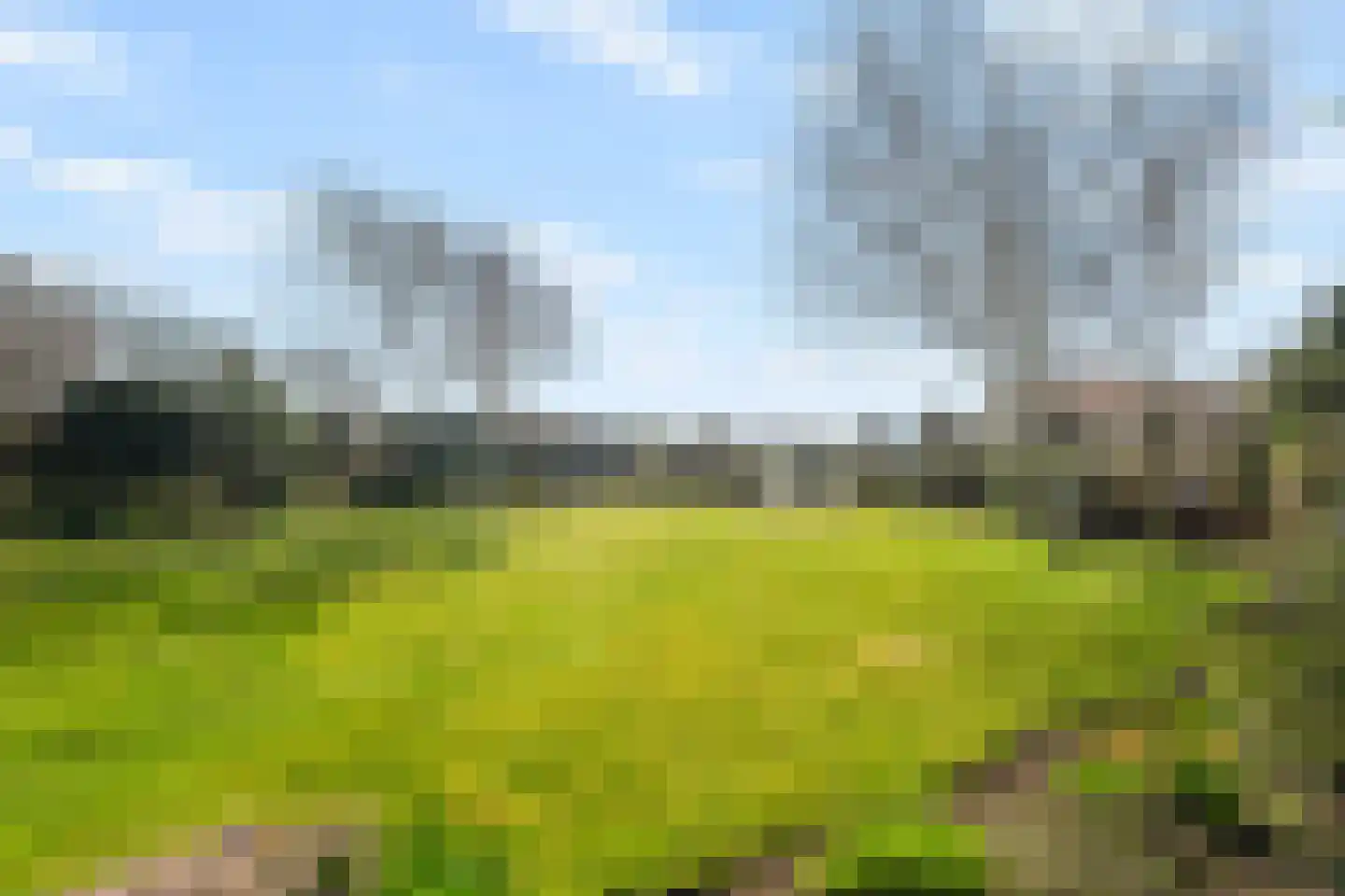 Abbestederweg 26 B h11 Callantsoog thumbnail 54