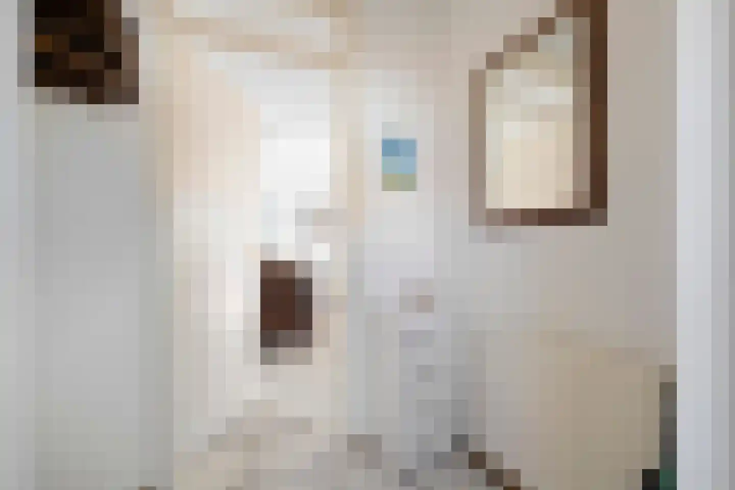 Abbestederweg 26 B h11 Callantsoog thumbnail 8