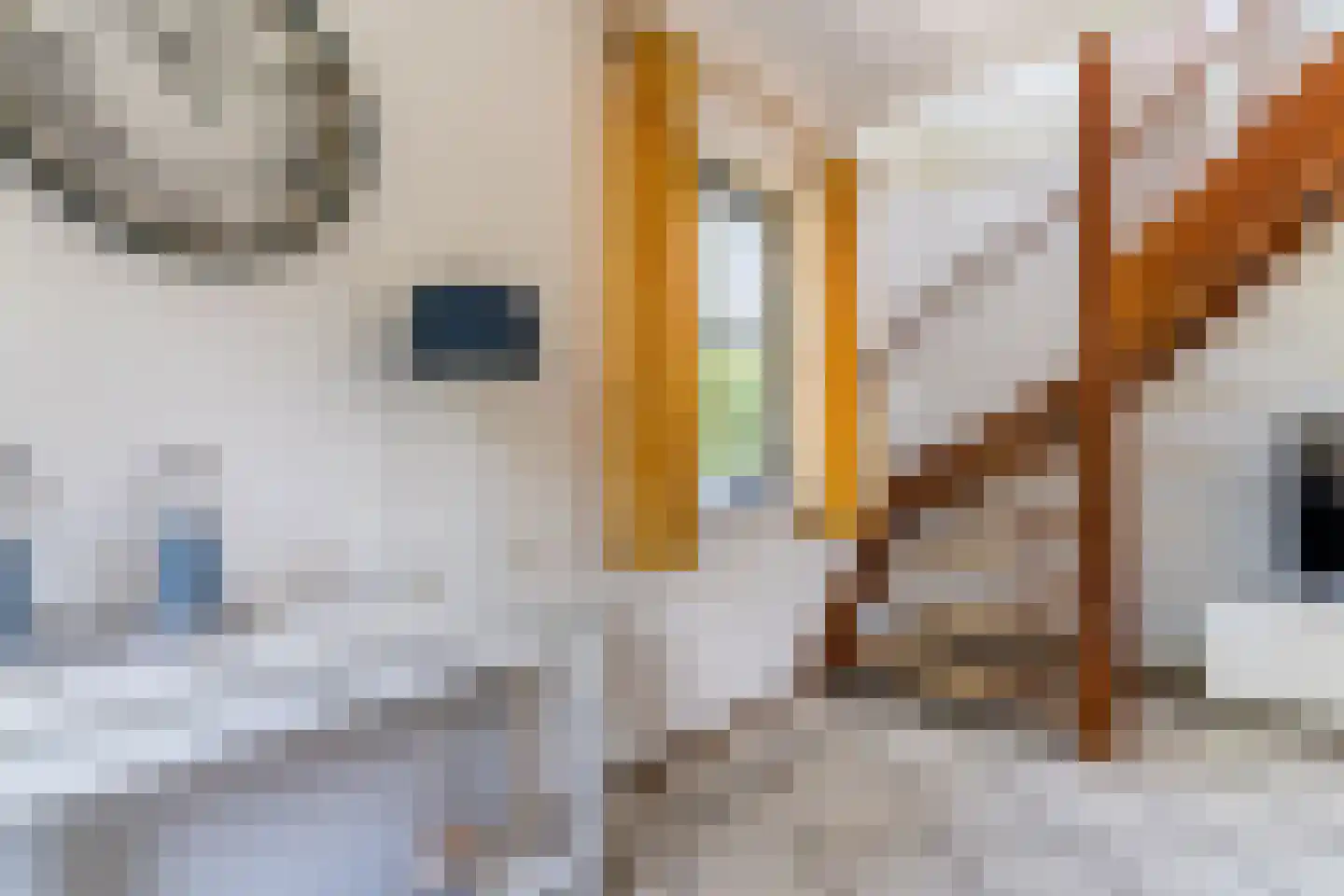 Abbestederweg 26 B h141 Callantsoog thumbnail 26