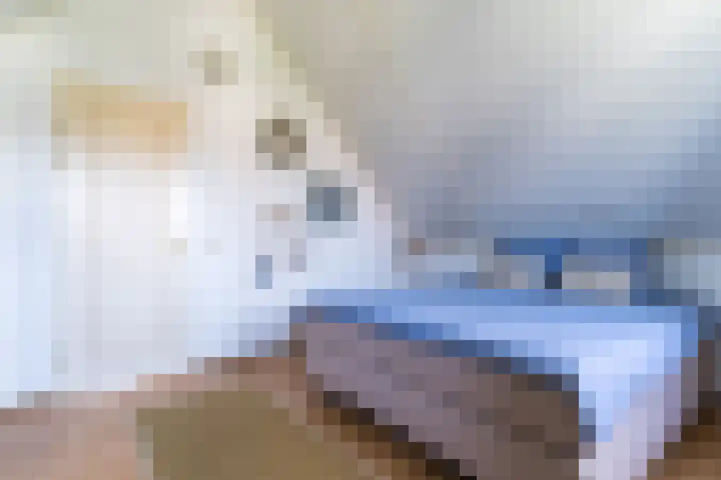 Abbestederweg 26 B h141 Callantsoog thumbnail 36