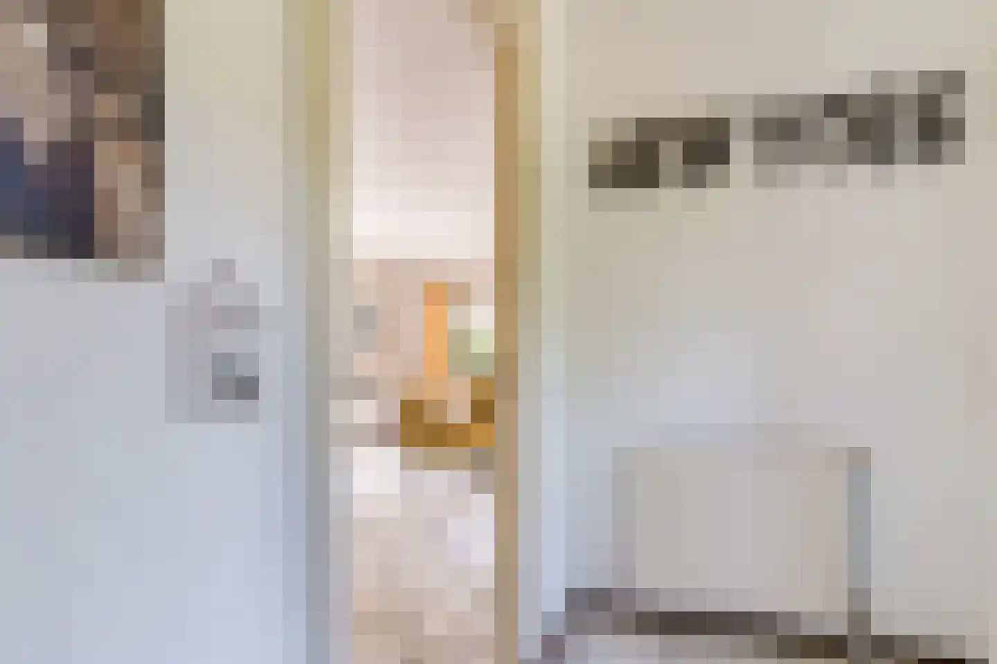 Abbestederweg 26 B h141 Callantsoog thumbnail 7