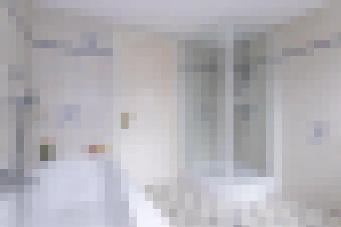 Abbestederweg 26 B h28 Callantsoog thumbnail 39