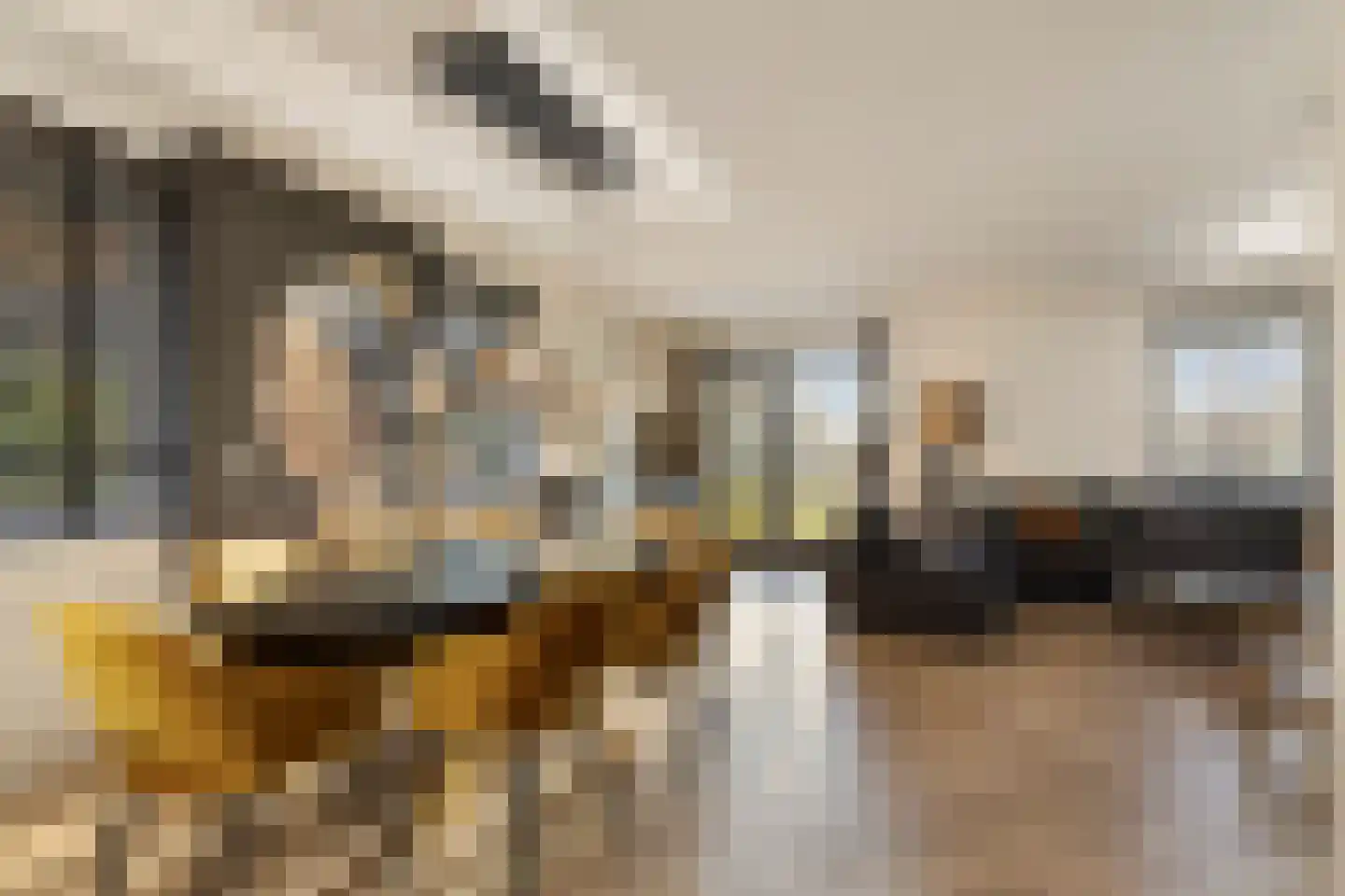 Abbestederweg 26 B h48 Callantsoog thumbnail 15