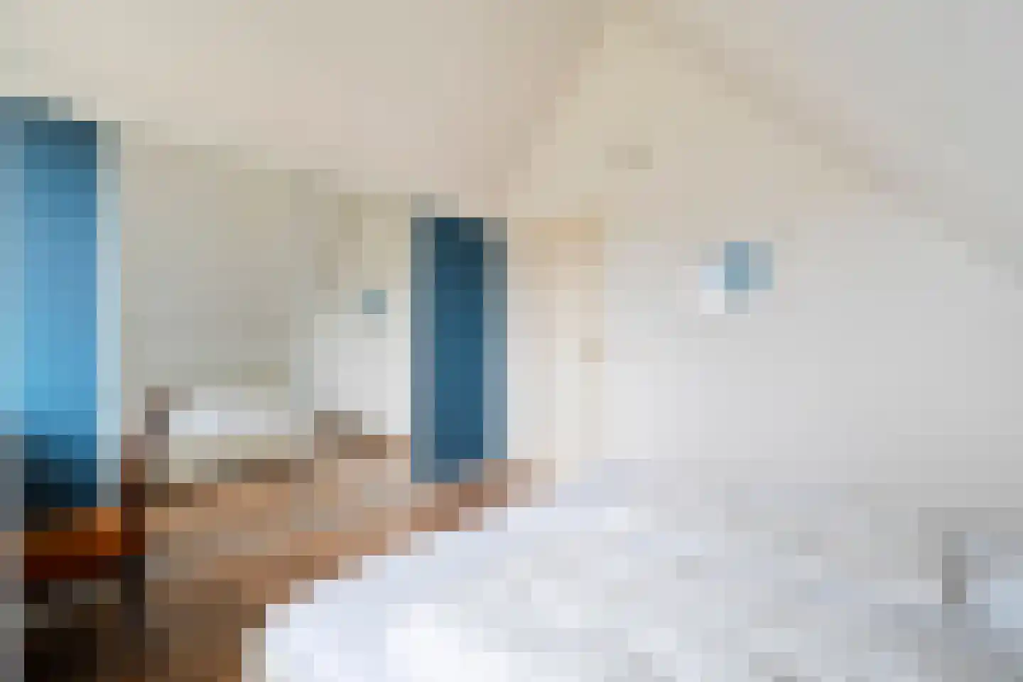 Abbestederweg 26 B h6 Callantsoog thumbnail 27