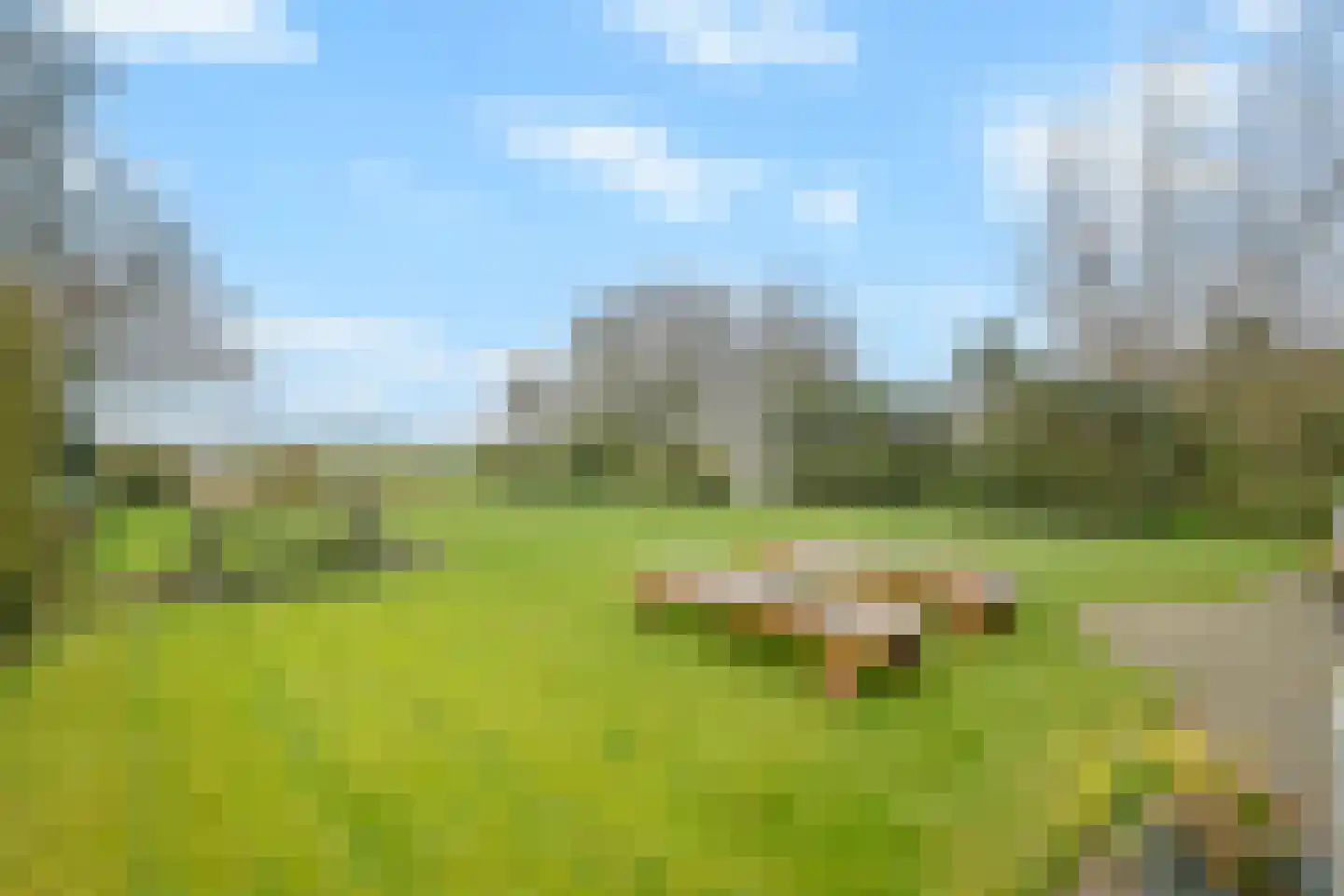 Abbestederweg 26 B h6 Callantsoog thumbnail 39