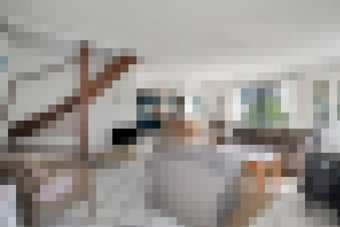 Abbestederweg 26 B h62 Callantsoog thumbnail 10