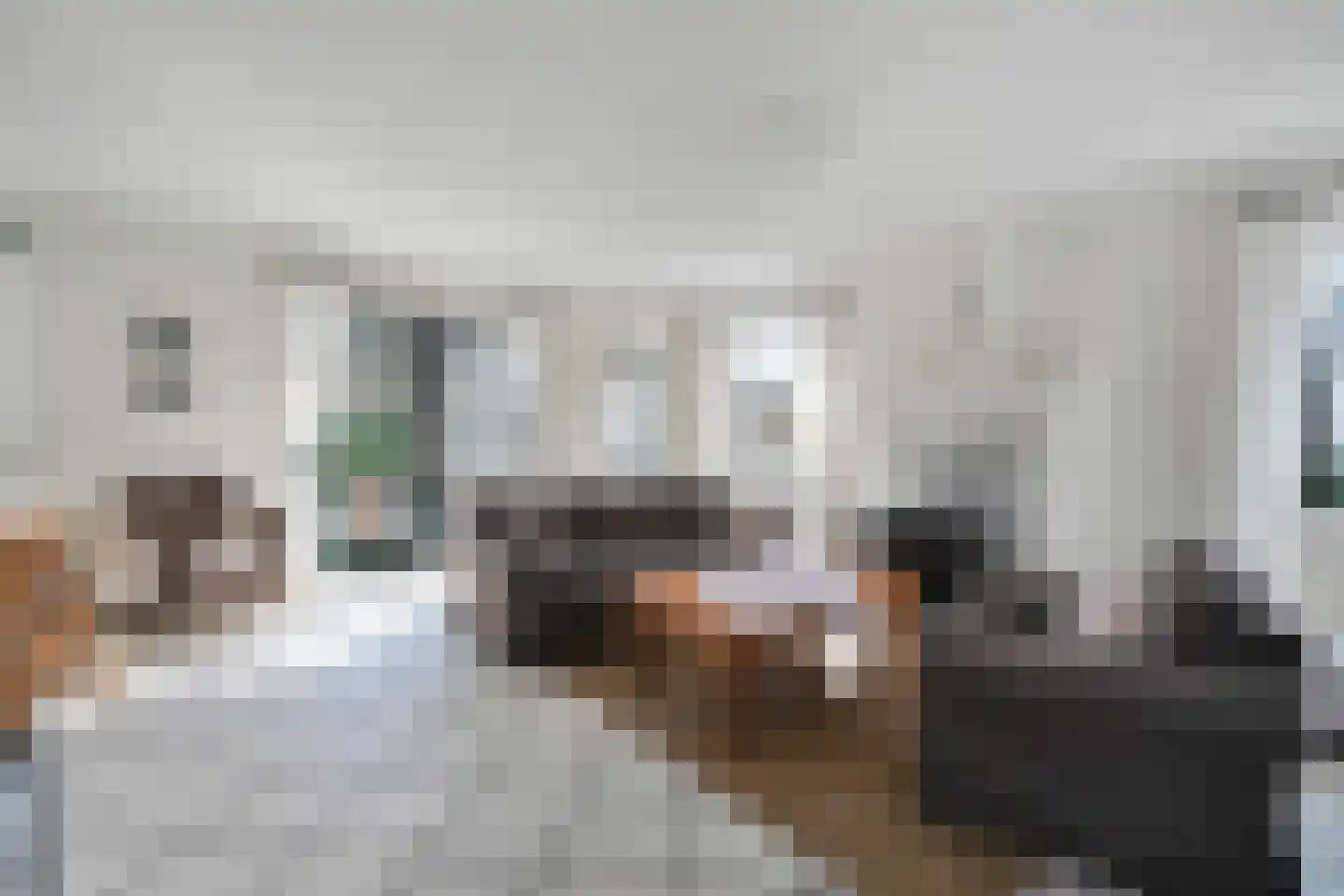 Abbestederweg 26 B h62 Callantsoog thumbnail 11