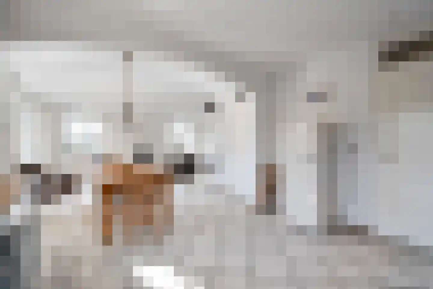 Abbestederweg 26 B h62 Callantsoog thumbnail 14