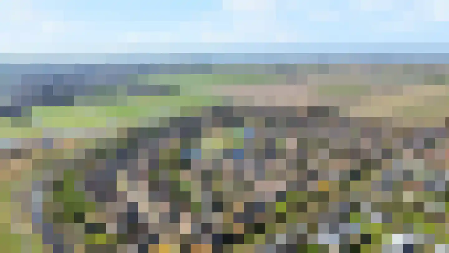 Abbestederweg 26 B h62 Callantsoog thumbnail 46