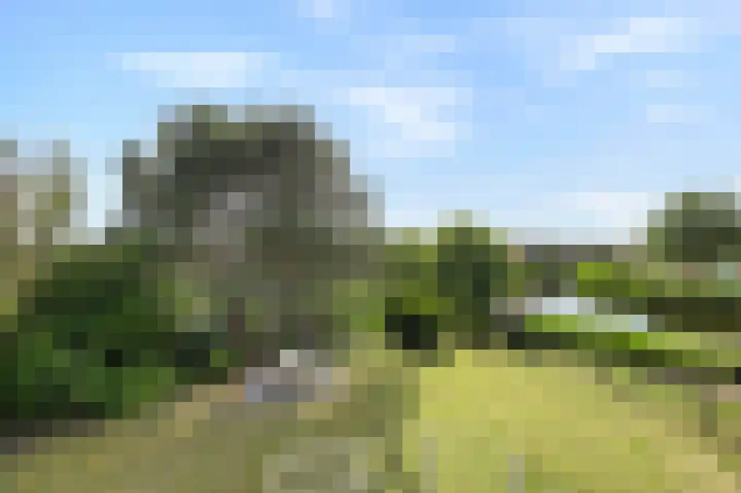 Abbestederweg 26 B h83 Callantsoog foto 2