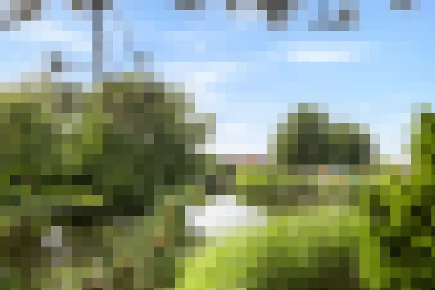 Abbestederweg 26 B h83 Callantsoog thumbnail 34