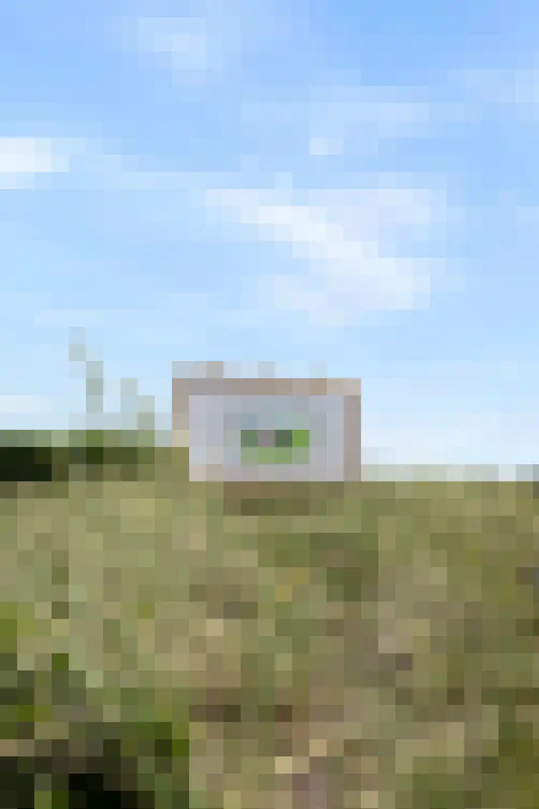 Abbestederweg 26 B h83 Callantsoog thumbnail 44