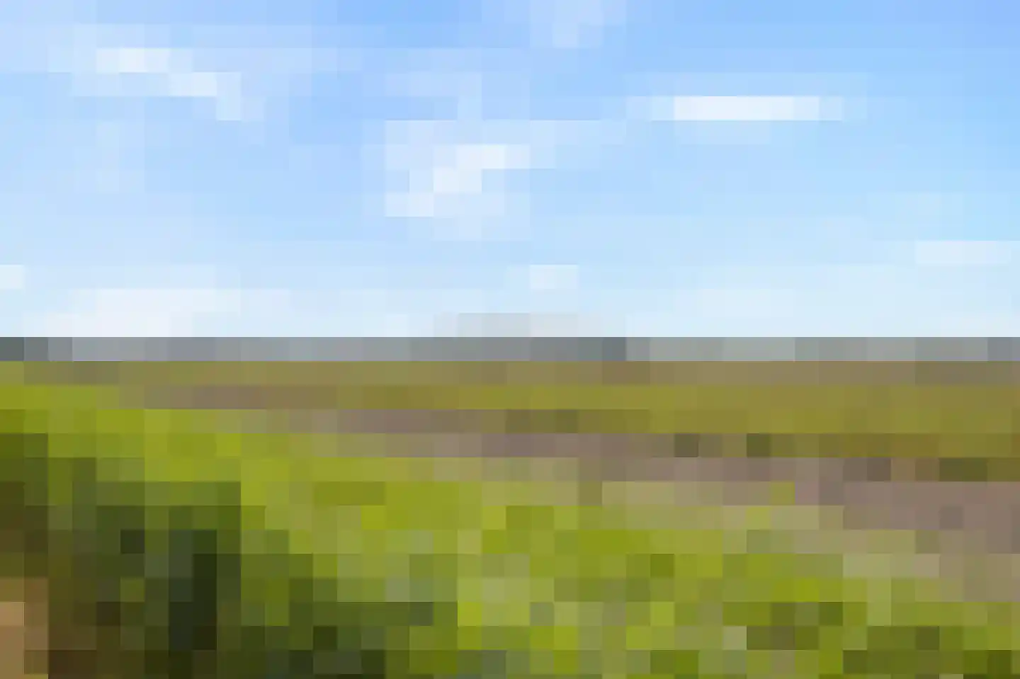 Abbestederweg 26 B h83 Callantsoog thumbnail 45