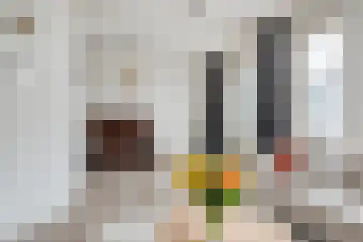 Abbevillelaan 30 Eindhoven thumbnail 13