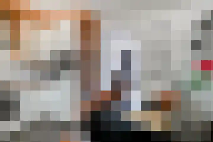Abbevillelaan 30 Eindhoven thumbnail 17
