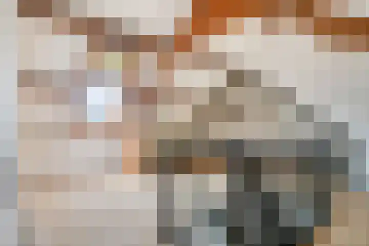 Abbevillelaan 30 Eindhoven thumbnail 30