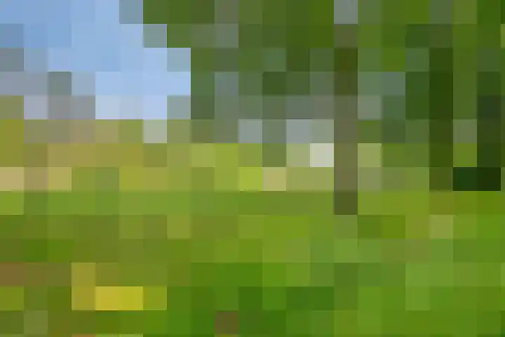 Abbevillelaan 30 Eindhoven thumbnail 38